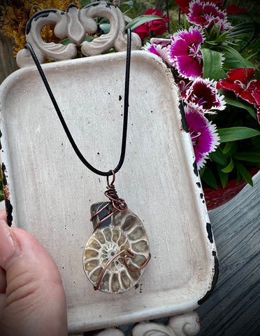 Wire Wrapped Ammonite Fossil