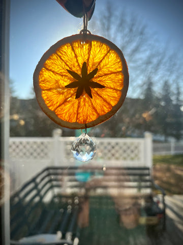 Dried Orange Suncatcher